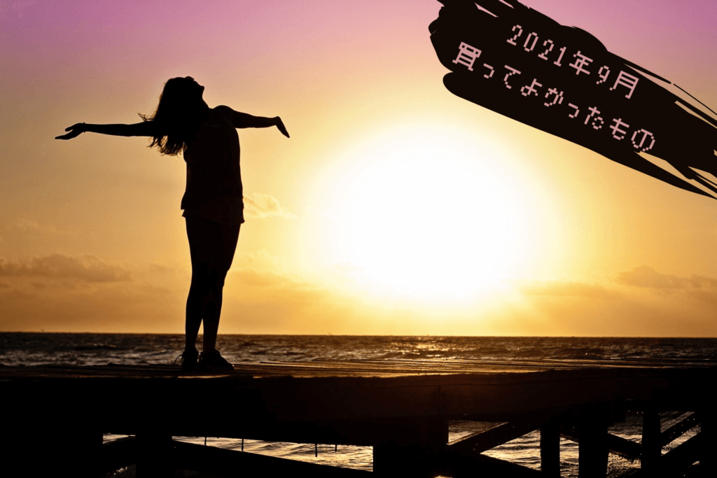 【2021年9月】買ってよかったガジェット・マンガ・書籍のアイキャッチ画像